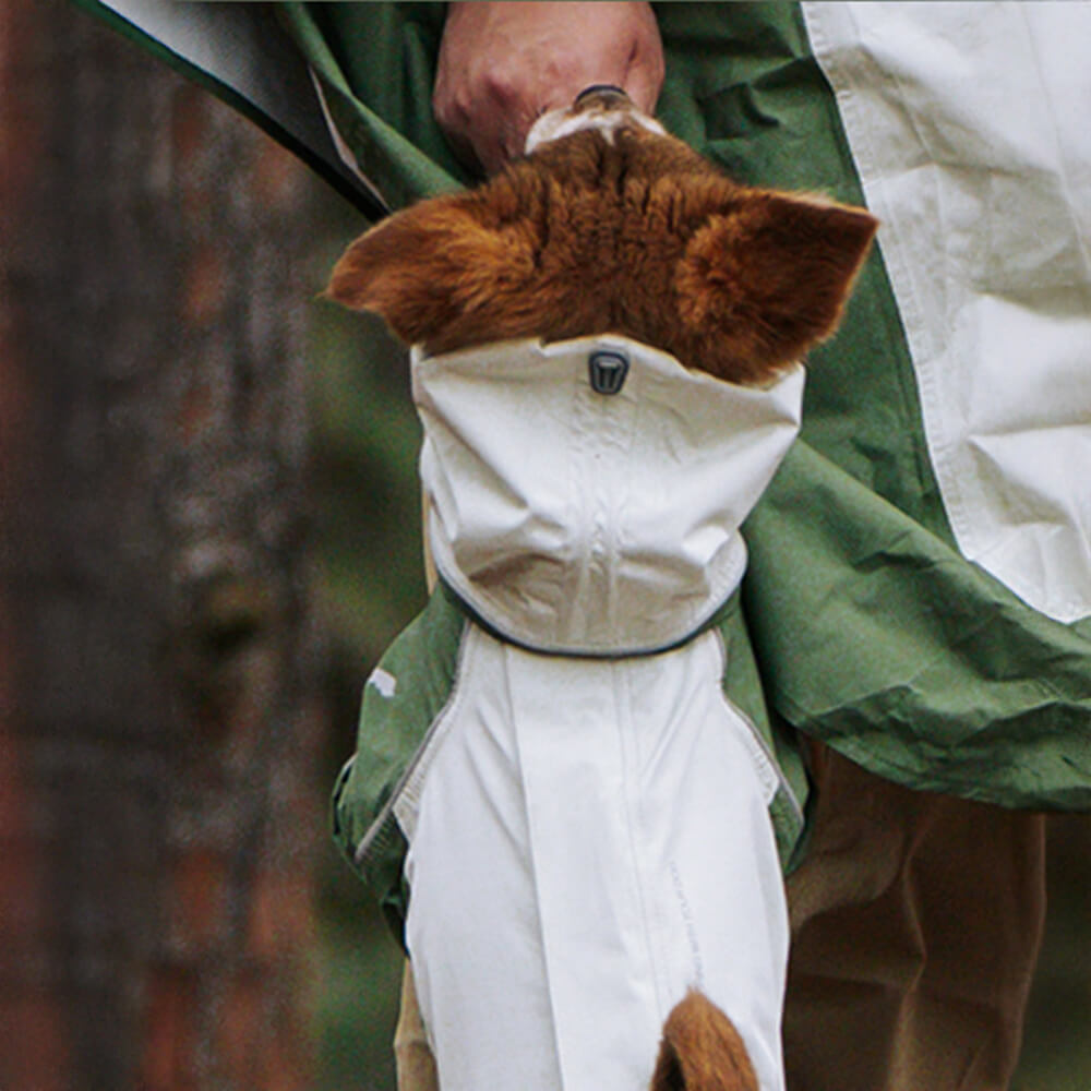 Imperméable à capuche à col roulé léger et imperméable à quatre pattes avec cordon de serrage réfléchissant pour chien et propriétaire