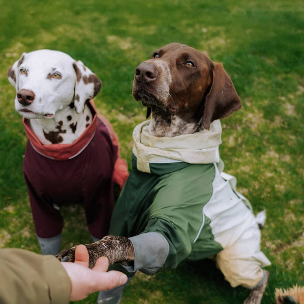 Imperméable à capuche à col roulé léger et imperméable à quatre pattes avec cordon de serrage réfléchissant pour chien et propriétaire