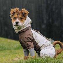 Imperméable à capuche à col roulé léger et imperméable à quatre pattes avec cordon de serrage réfléchissant pour chien et propriétaire