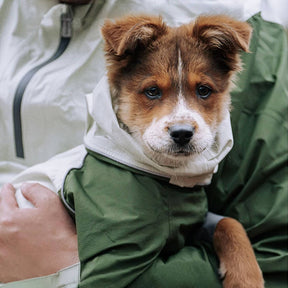 Imperméable à capuche à col roulé léger et imperméable à quatre pattes avec cordon de serrage réfléchissant pour chien et propriétaire