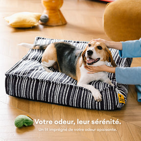 Pouf de rangement durable et lit pour chien - Funnyfuzzy SnugNest