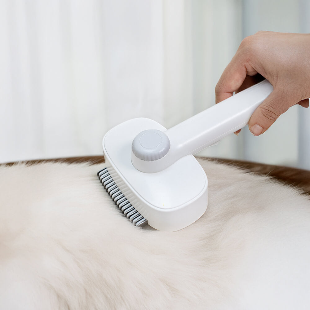 Outil de toilettage 2 en 1 pour animaux tête double nettoyante et démêlante