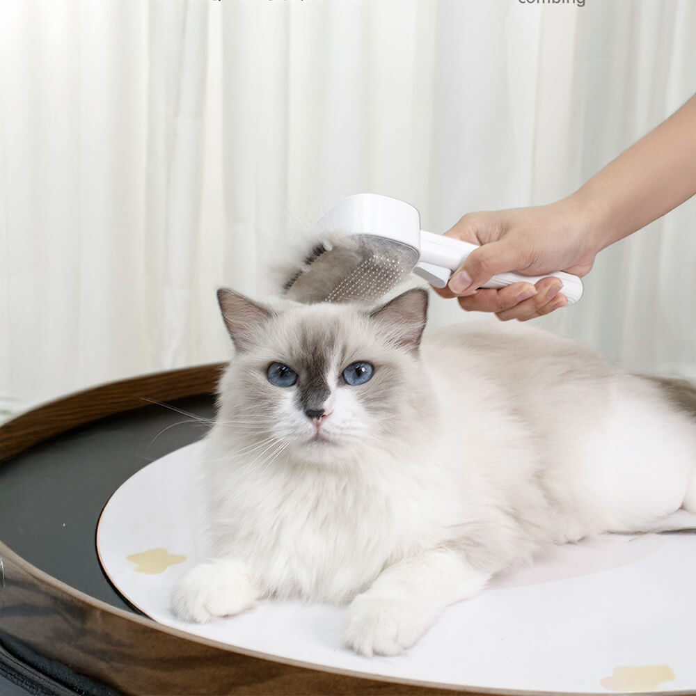 Outil de toilettage 2 en 1 pour animaux tête double nettoyante et démêlante
