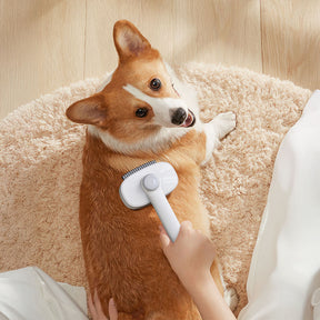 Outil de toilettage 2 en 1 pour animaux tête double nettoyante et démêlante
