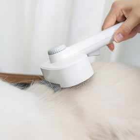 Outil de toilettage 2 en 1 pour animaux tête double nettoyante et démêlante