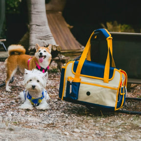 Sac de transport Oxford multifonctionnel et durable pour chien et chat