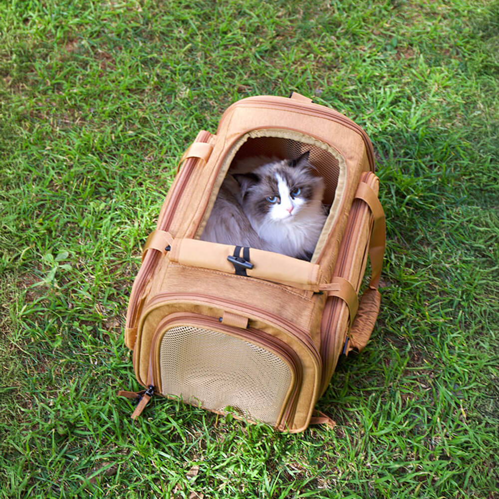 Sac de transport pour chat à bandoulière unique avec large espace extensible