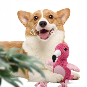 Jouet interactif en corde durable pour chien Flamingo et Perroquet