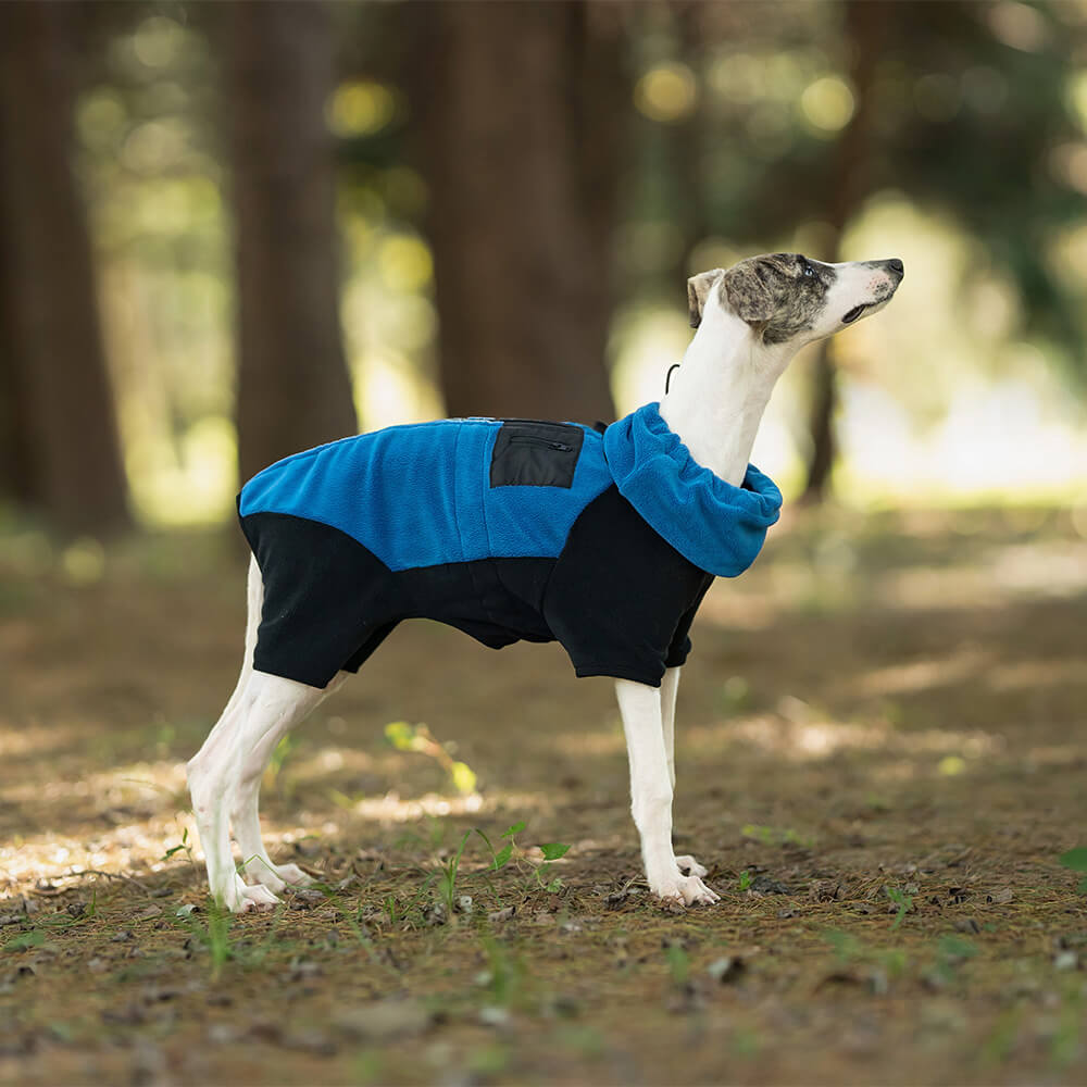 Manteau polaire chaud à quatre pattes pour chien avec col roulé amovible