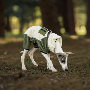 Manteau polaire chaud à quatre pattes pour chien avec col roulé amovible