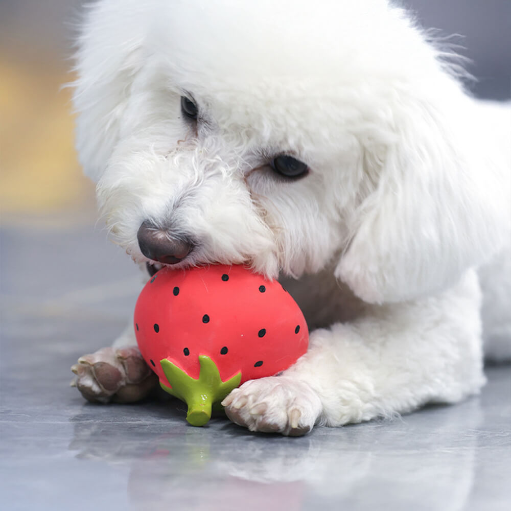 Jouet interactif couineur en latex pour chien durable à mâcher