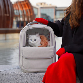 Sac à dos respirant léger et pliable pour transporter des chats et petits animaux