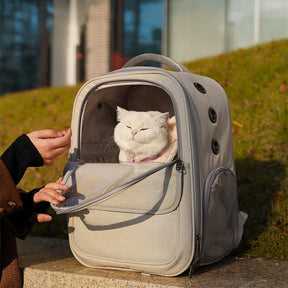 Sac à dos respirant léger et pliable pour transporter des chats et petits animaux