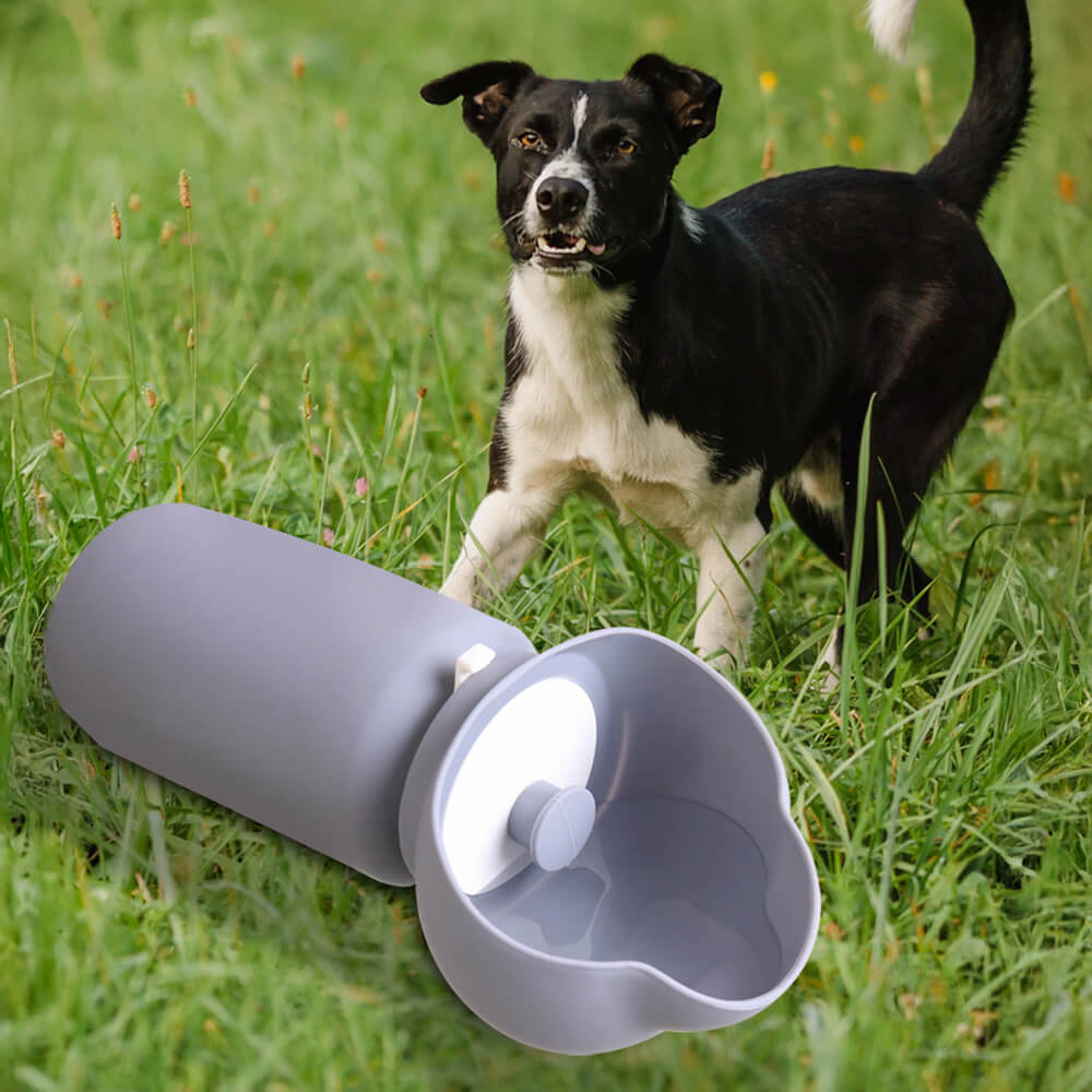 Bouteille d'eau pour animaux en silicone souple pliable et étanche portable pour l'extérieur