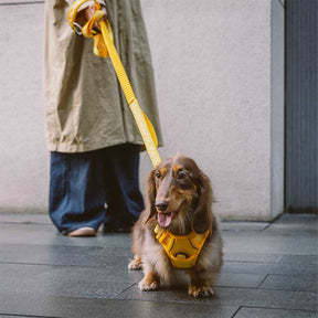 Harnais réfléchissant réglable pour chien FUNNYFUZZY - Flexi Walker