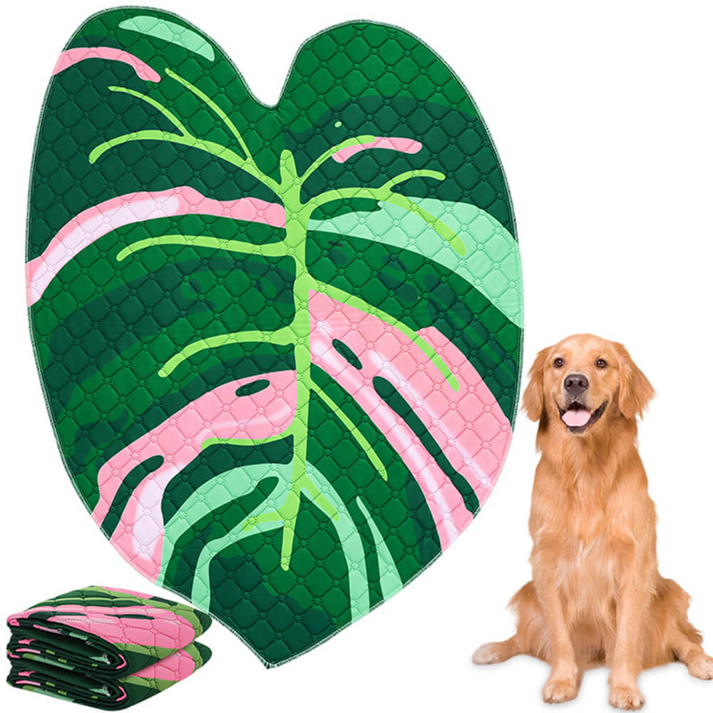 Tapis absorbant réutilisable lavable antidérapant pour chien