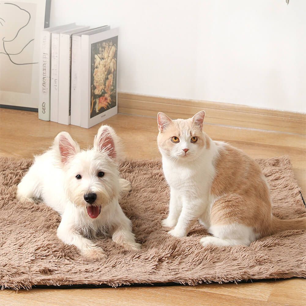 Tapis antidérapant en peluche douce pour chien et chat