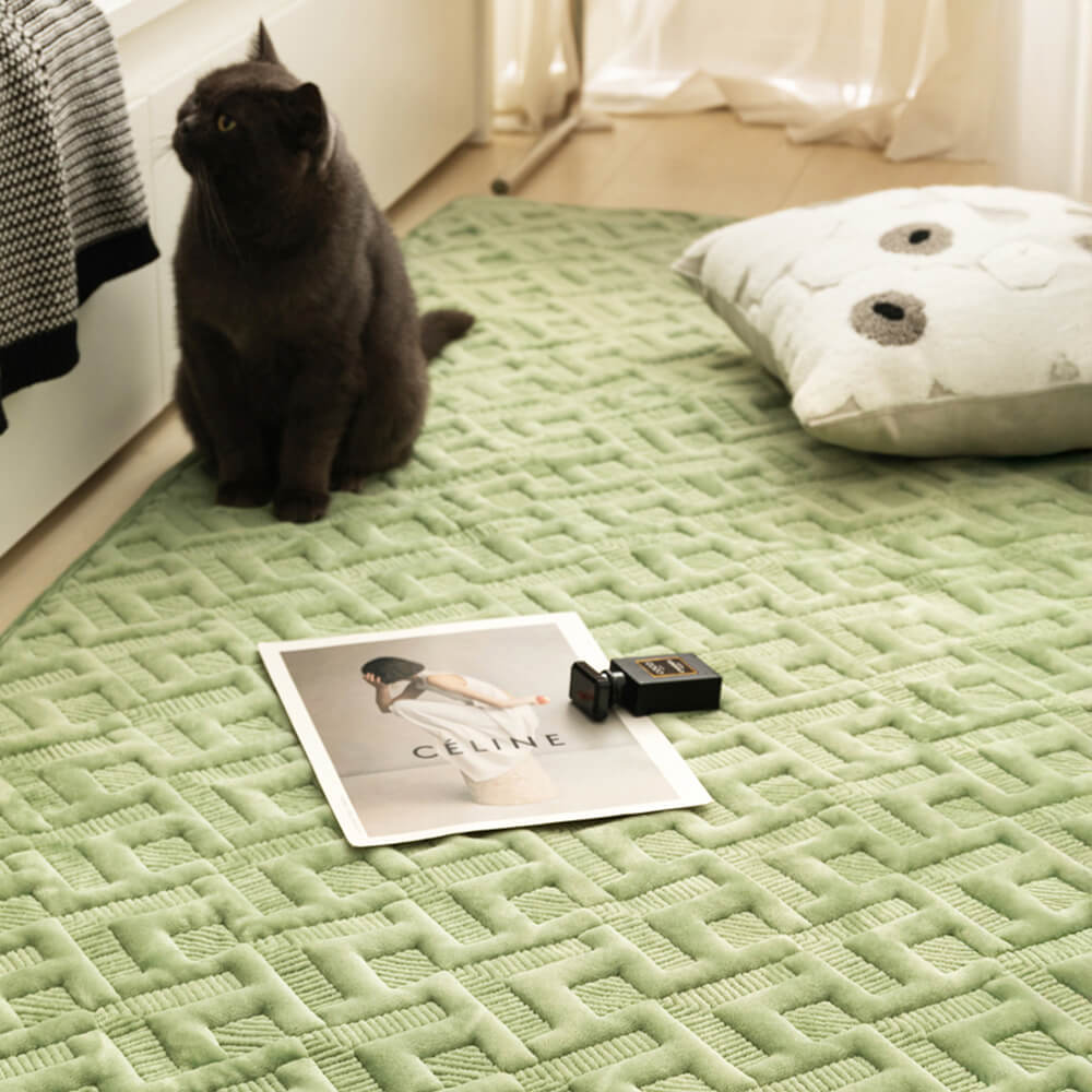 Tapis décoratif en peluche douce et texturée pour la maison