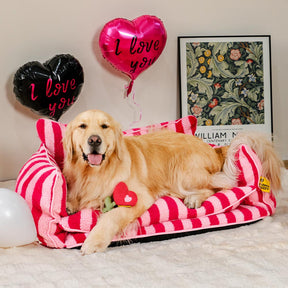 Jouet en peluche rose à couinement pour chien spécial Saint-Valentin FUNNYFUZZY