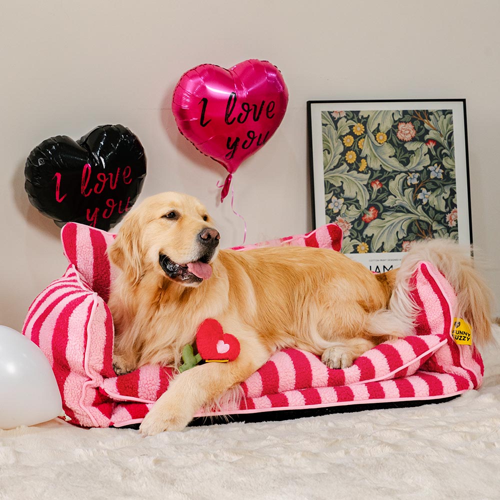 Jouet en peluche rose à couinement pour chien spécial Saint-Valentin FUNNYFUZZY