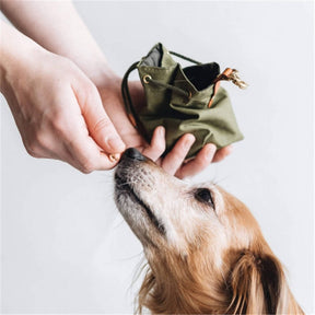 Sac à friandises pour chien en toile cirée et simili cuir pour entraînement extérieur