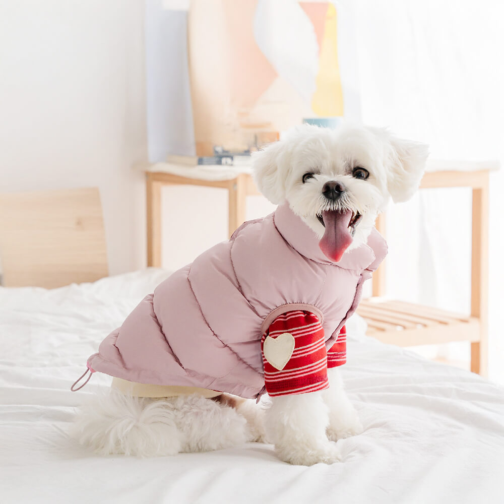 Gilet coupe-vent chaud sans manches pour chien rembourré anti-rides