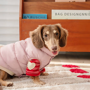 Gilet coupe-vent chaud sans manches pour chien rembourré anti-rides