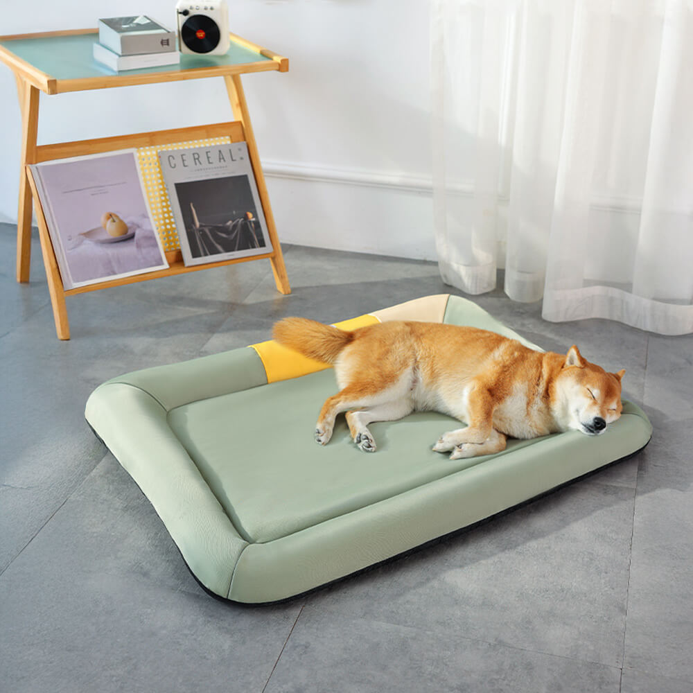 Tapis pour chien imperméable anti rayures coloris uni toutes saisons
