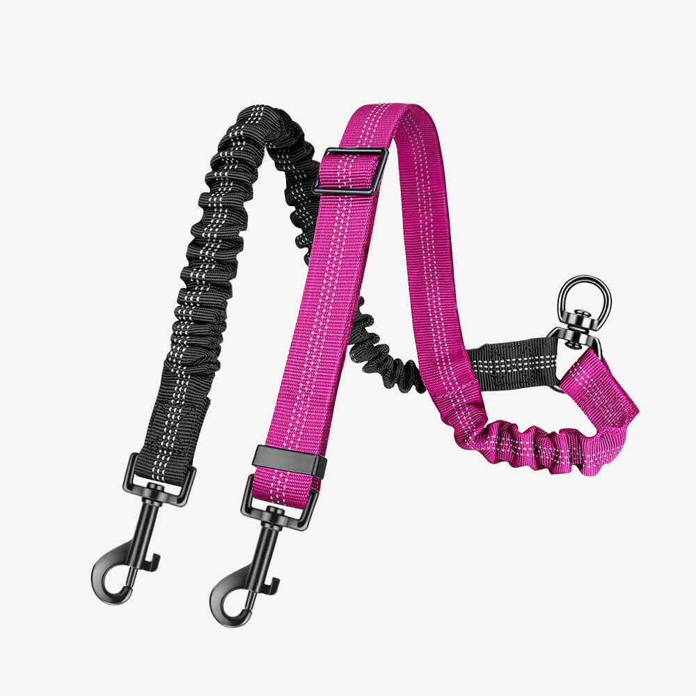 Laisse pour chien à double attache antichoc sans enchevêtrement