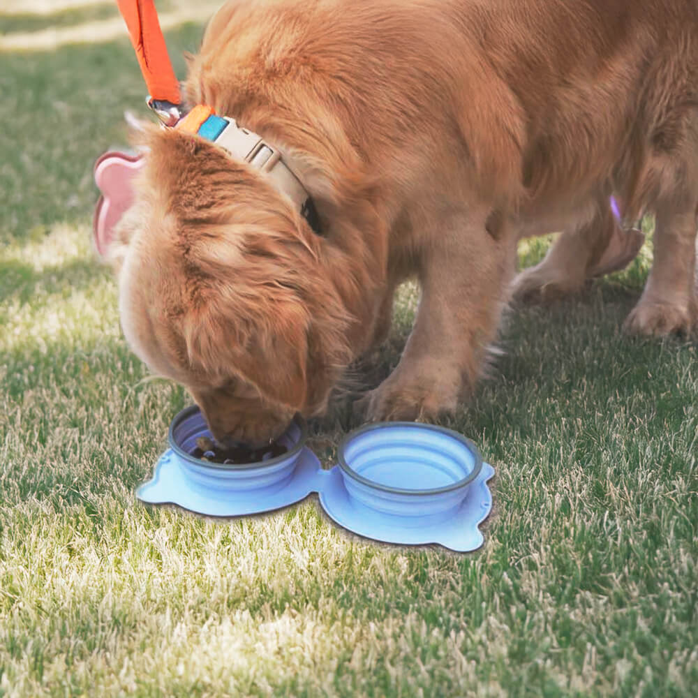 Bol à eau pour chien portable pliable en silicone non toxique