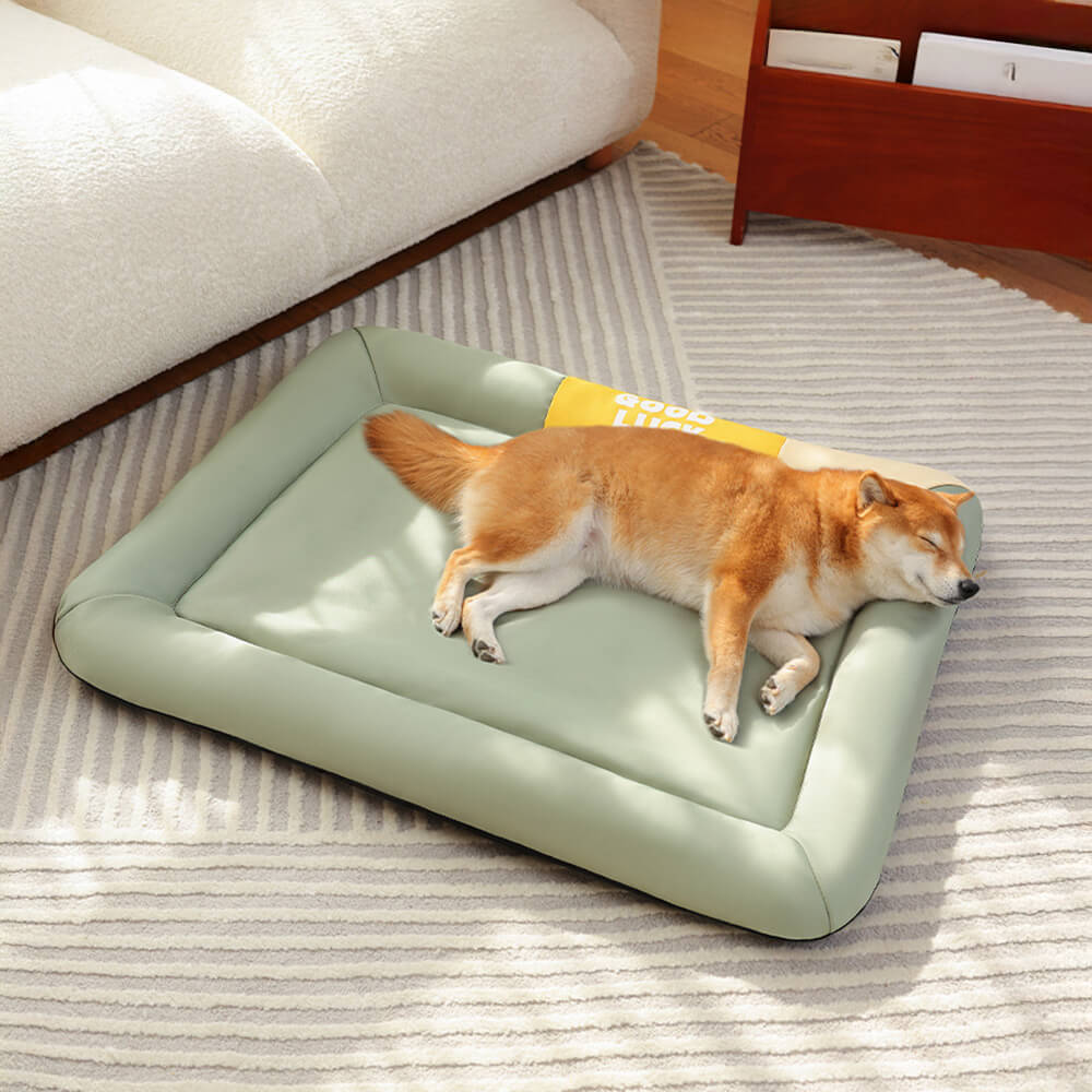 Tapis pour chien imperméable anti rayures coloris uni toutes saisons
