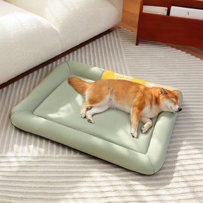 Tapis pour chien imperméable anti rayures coloris uni toutes saisons