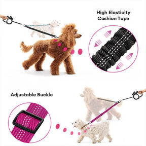 Laisse pour chien à double attache antichoc sans enchevêtrement