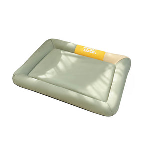Tapis pour chien imperméable anti rayures coloris uni toutes saisons