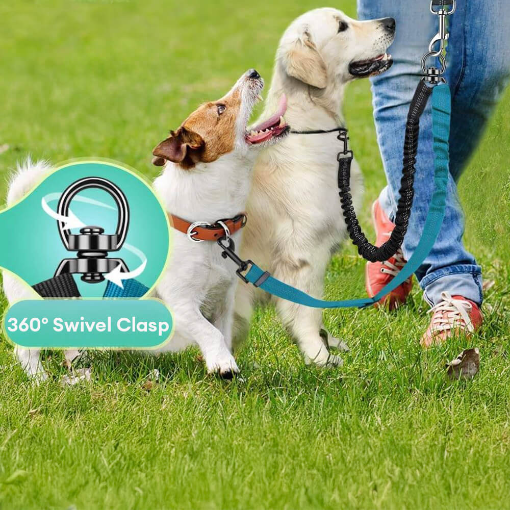 Laisse pour chien à double attache antichoc sans enchevêtrement