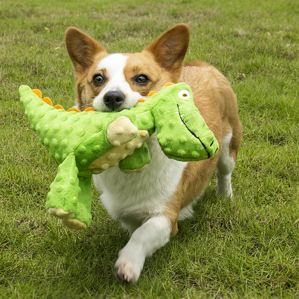 Jouet pour chien alligator résistant aux morsures avec couineur intégré