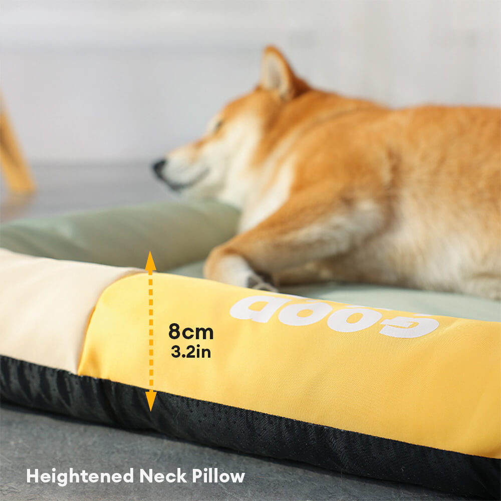 Tapis pour chien imperméable anti rayures coloris uni toutes saisons