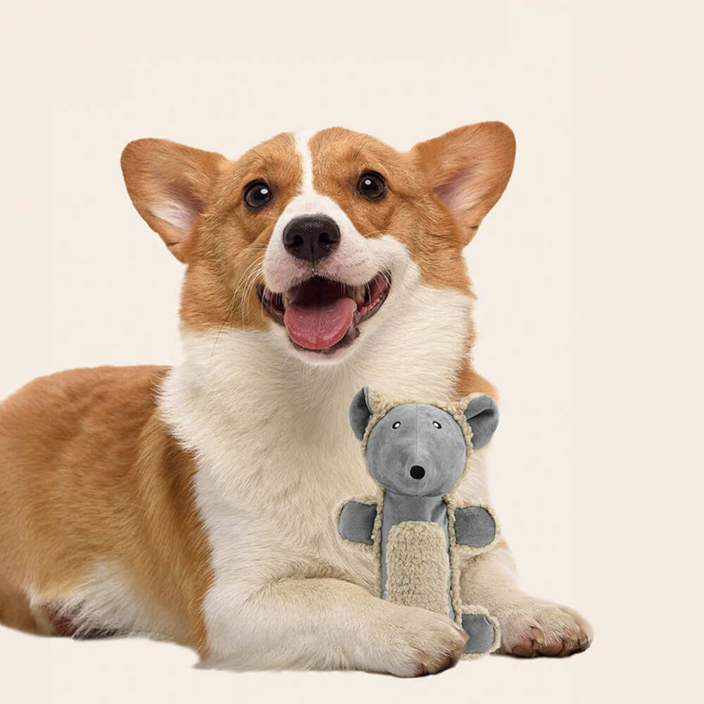 Souris en peluche douce et durable avec bruit jouet interactif à mâcher pour chien