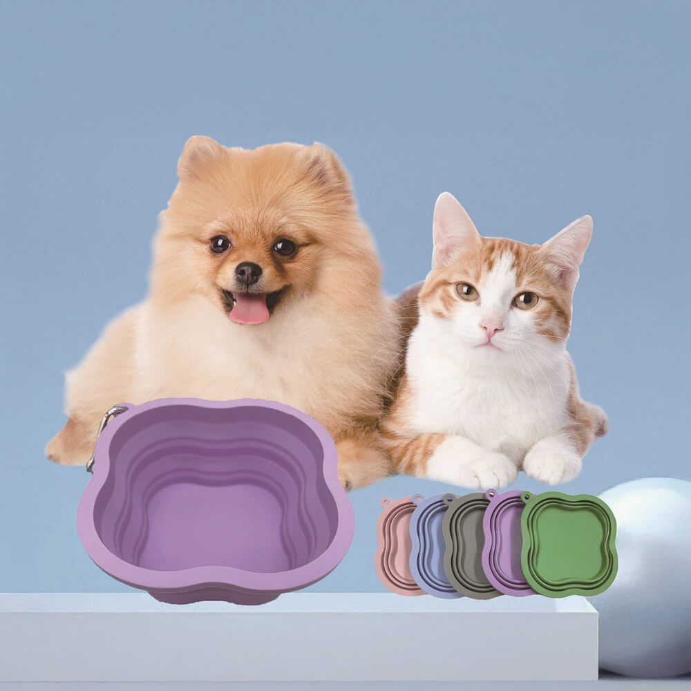 Bol à eau pour chien portable pliable en silicone non toxique