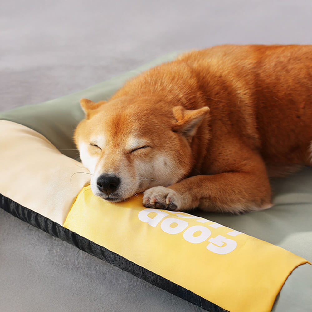 Tapis pour chien imperméable anti rayures coloris uni toutes saisons