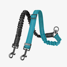 Laisse pour chien à double attache antichoc sans enchevêtrement