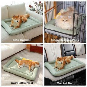 Tapis pour chien imperméable anti rayures coloris uni toutes saisons