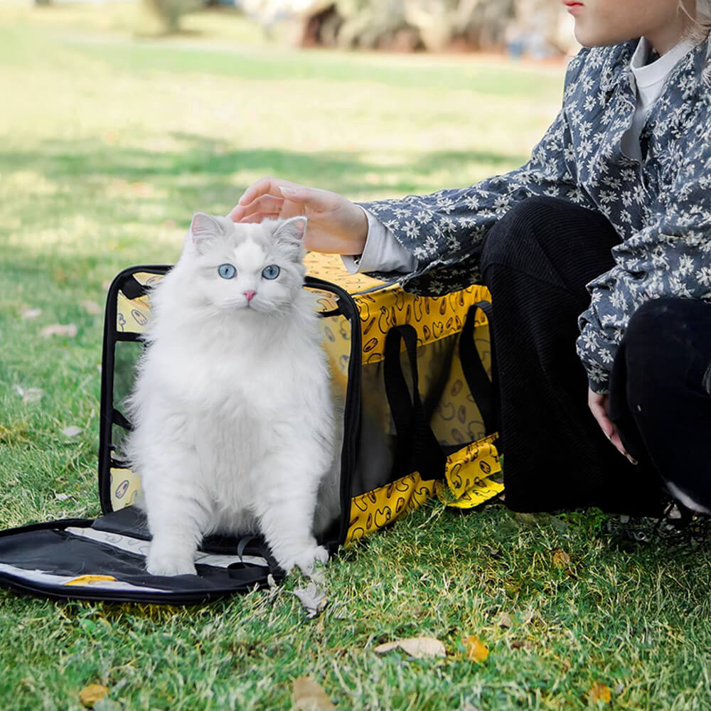Sac de transport léger et pliable pour chien et chat en mesh respirant