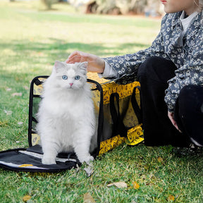 Sac de transport léger et pliable pour chien et chat en mesh respirant