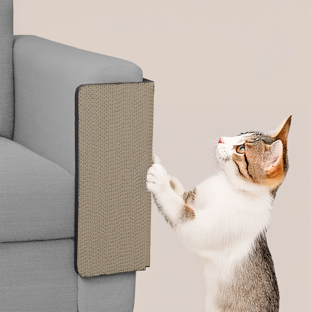 Protecteur d'angle de mur et planche à gratter pour chat résistante aux rayures