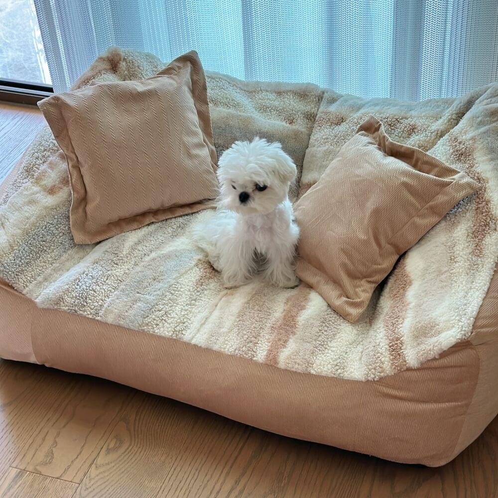 Canapé-lit pour chien en polaire à blocs de couleurs tendance