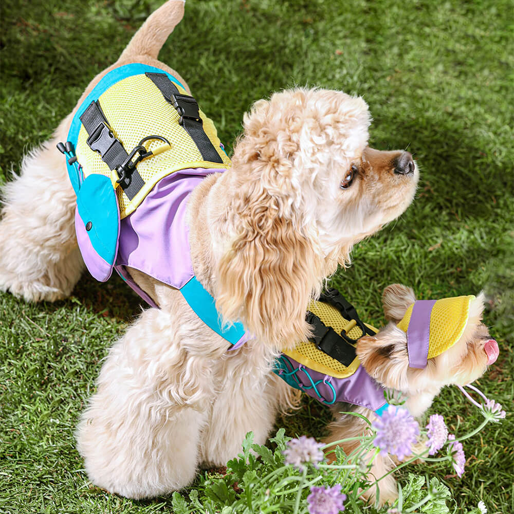 Veste Colorée à la Mode avec Chapeau de Soleil pour Petits Chiens