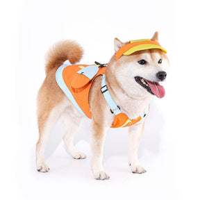 Veste Colorée à la Mode avec Chapeau de Soleil pour Petits Chiens