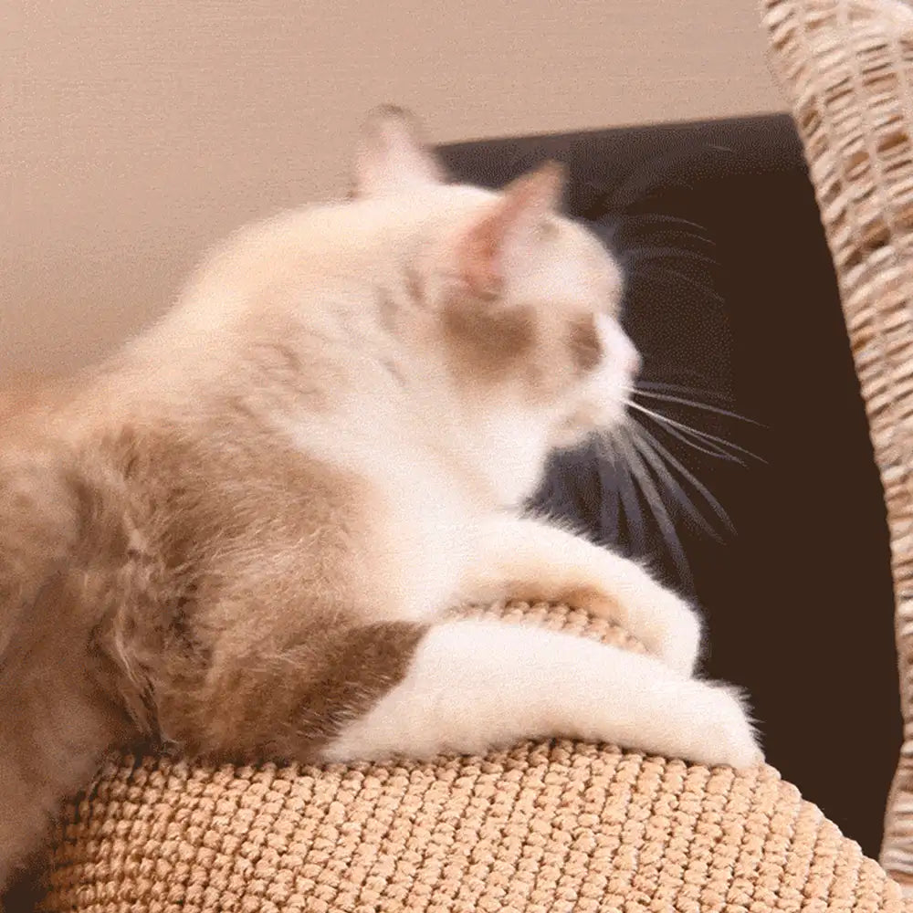 Housse de protection pour accoudoirs de canapé en faux sisal résistant aux rayures, ajustable, pour chats