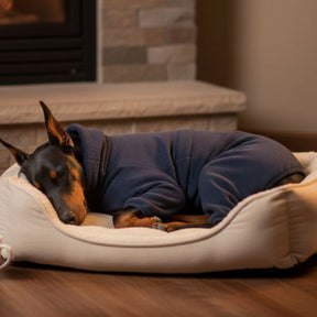 Combinaison polaire pour chien – Chaleur confortable et intégrale pour temps froid